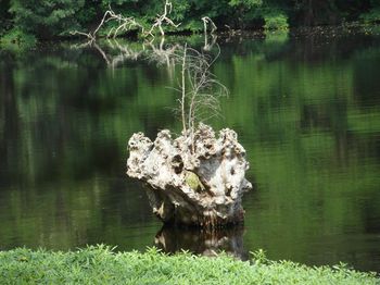 saint_degan_016.jpg