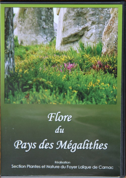 dvd_01.jpg dvd_01.jpg