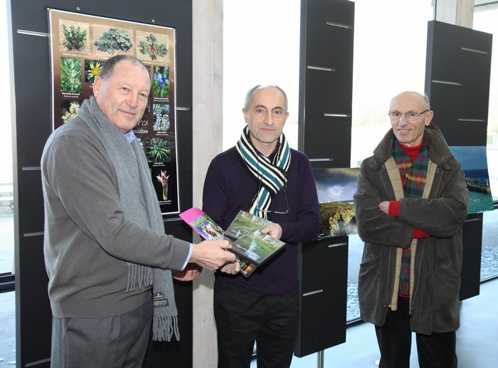 remise_dvd_2.jpg remise_dvd_2.jpg