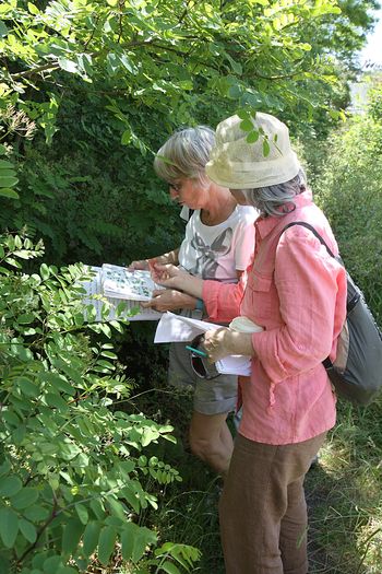 rallye_plantes_007.jpg