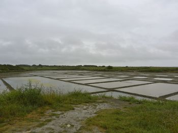 guerande_003.jpg