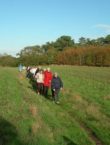 groupe_chemin.jpg groupe_chemin.jpg