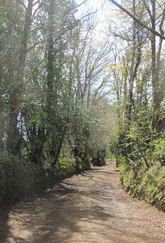 st_tremeur_12_001.jpg
