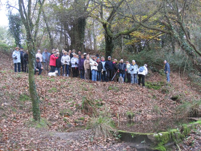 brech_048.jpg brech_048.jpg