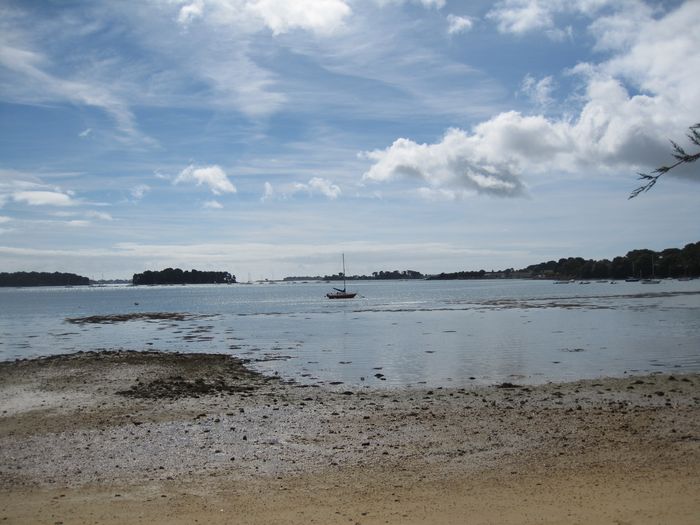 larmor_baden_051.jpg larmor_baden_051.jpg