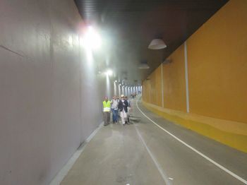 sene390.jpg