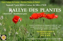 rallye_plantes.jpg