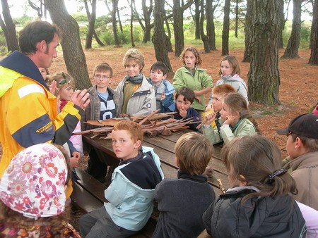 Liliandanslaforet.jpg Liliandanslaforet.jpg