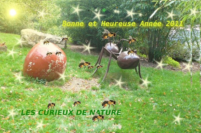 Voeu_Fourmi_Bonne_Annee_2011_curieux.jpg