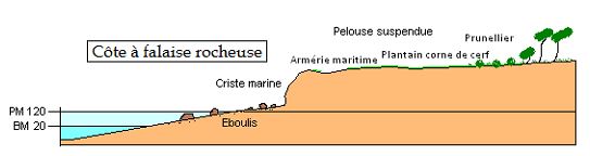 falaise__rocheuse.JPG