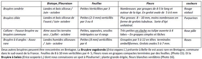 tableau_bruyeres.jpg