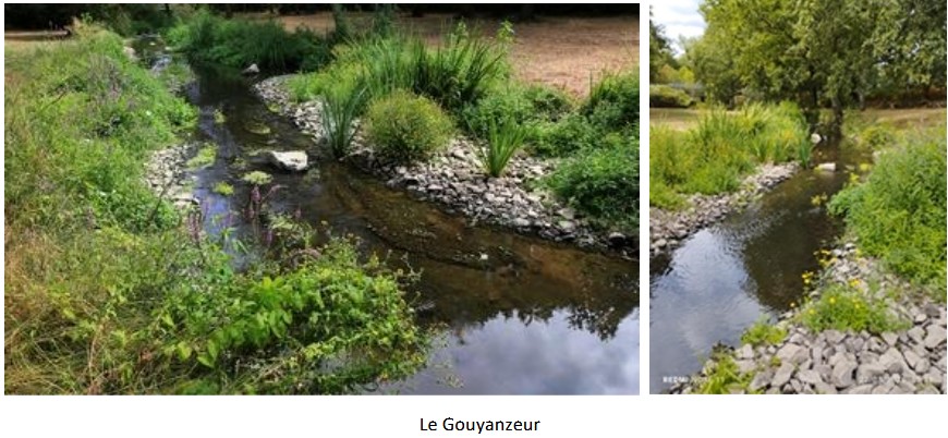 gouyanzeur.jpg