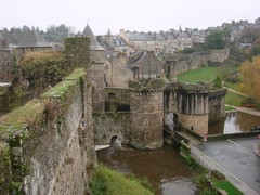 fougeres2.jpg